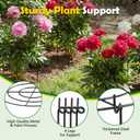 YHLYUZZ Peony Cages and Supports 4 Pack, 12x16 Inch Heavy Duty Metal Plant Cage for Outdoor Plants – Grow Through Flower Support Rings for Peonies, Roses, Tomatoes & Hydrangeas