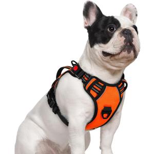 rabbitgoo Dog Harness Small Sized Dog, No Pull Pet Harness with Soft Padded Handle, Adjustable Reflective Vest with 3 Buckles, Easy Walking Harness with 2 Leash Clips, Orange, S