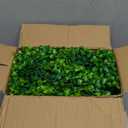 Artflower 6 Pack Artificial Eucalyptus Garland with Lights, 5.9Ft/pcs Faux Eucalyptus Vines Greenery Garland Fake Plant for Wedding Backdrop Arch Wall Decor, Grey Green