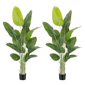 Keeplush Lifelike Bird of Paradise Artificial Plant,6ft Faux Banana Leaf Tree with 13 Trunks - Perfect Indoor Silk Floor Plant for Home Decor in Living Room, Office, and Bedroom(Set of 2)