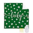 St Patrick's Day Pillow Covers 17x17 Green Buffalo Plaid Set of 1 Irish Truck