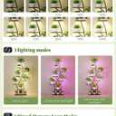 Plant Stand Indoor with Grow Lights 65" Tall Plant Shelf Corner Lighted Plant Stands for Indoor Growing Multiple Metal 8 Tiered Large S-Shape Display Shelves Plant Rack for Home Decor Patio Balcony