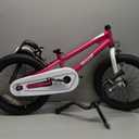 RoyalBaby Kids Bike EZ Freestyle Training Free Balance to Pedal Easy Learning Bicycle, 16 Inch for Toddlers to Big Kids