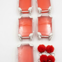 VioraWhite 5 Pcs Mini Suitcase Empty Storage Box and Plush Ball Keychain Candy Luggage Containers Packaging Case for Bridal Shower Baby Shower Party Favors Travel Gifts (Red)