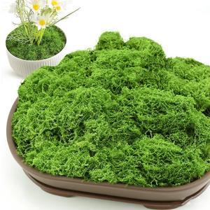 SETRUE Fake Green Moss for Crafts, 5.3 OZ Artificial Fake Green Moss for Planters Faux Moss Decor for DIY Decorative Table Centerpieces Decor Fairy Garden Model Making (150g)