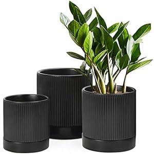 LaDoVita 3 Pack Ceramic Plant Pots 6/5/4 inch, Flowerpot for Indoor Plants with Drainage Holes and Tray, Outdoor Garden Planters, Modern Decorative for Home, White Vertical Stripes