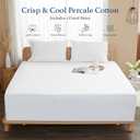 100% Cotton Percale Fitted Sheet Twin XL Size, 8-15" Deep Pocket Cooling Bottom Sheet, Breathable Soft & Crisp Fitted Sheet Only with 4 Corner Straps (Twin XL, White)