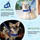 Lukovee No Pull Dog Harness and Leash Set, Soft Padded Small Dog Harness, Neck & Chest Adjustable Reflective Vest Puppy Harness with 4ft Lightweight Anti-Twist Dog Leash for Small Dogs (S, Blue)
