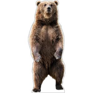 Life Size Cardboard Cutout Standup | Waterproof | Animals - Brown Bear