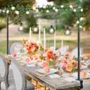 Over The Table Rod Stand with Clamps Adjustable 31"-110'' Length 31"-64" Height Table Balloon Arch Stand with Storage Bag Metal Decorating Rod for Table Hanging