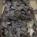 Hananona 4 Pcs Artificial Cimicifuga Leaf Spray, 23 in Faux Burgundy Fall Greenery Branch with Long Stems for Vase, Farmhouse Thanksgiving Autumn Centerpiece Halloween Decor (4, Chocolate, 23 in)