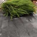 Waipfaru 36" Christmas Norfolk Pine Branches, 12 Pcs Real Touch Norfolk Pine Stems, Faux Christmas Greenery Stems Picks Cedar Stems for Vase DIY Crafts Xmas Indoor Outdoor Home Decor