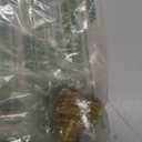 Dramm Seedling Nozzle, Solid Brass for Fragile Plants, Delicate Seedlings and Plant Cuttings, Produces Extra Fine, Hollow Cone Mist Pattern, Brass