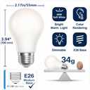 Incandescent Light Bulb Frosted 40W, A19 Bulb, Pack of 6