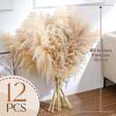 Pasuvsigt 12pcs 40'' Dried Pampas Grass Decor - Tall-Large Pampas Grass - Natural Beige - Boho Home Decor