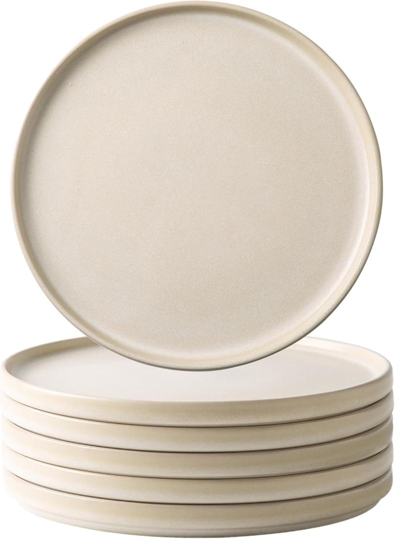 AmorArc Ceramic Dinner Salad Plates Set of 6, 8.0 Inch Reactive Matte Glaze Dish Set, Dessert, Salad, Appetizer, Small Dinner Plate, Microwave, Dishwasher Safe, Scratch Resistant, Ivory