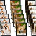 Abtgt 8x10 Picture Frame Set of 18, Gallery Wall Frame Set, 8x10 Frame Bulk Set 18 Pack for Wall Mounting or Tabletop Display, Black Woodgrain