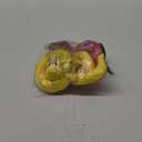 2 Pcs Chinese Snake Plush 2025 Year of The Snake Stuffed Animal Plush Chinese New Year Plush Decoration Mascot Doll Plushies for Spring Festival Bedtime Gift Bed Rest Chair Table Decor(Wish Snake)