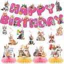 Cat Birthday Party Decorations - 13 Pcs Pre-Strung Lovely Cat Theme Pink Banner Hanging Swirls Honeycomb Centerpiece Set , Happy Birthday Party Decor Supplies for Pet Cats Kids Girls