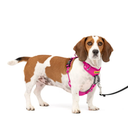 PetSafe Easy Walk Comfort Reflective No Pull Dog Harness, Pink, Small/Medium: 19 to 24-in chest
