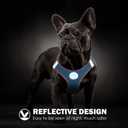 PHOEPET Step-in Dog Harness,Reflective Adjustable Dog Vest Harness, Soft Pet Walking Jacket with 2 Metal Leash Hooks for Dog and Cat(Baby Blue Base & Pink Straps,XL) (XL (Neck: 13.5-15.5,Chest: 18-20.5))