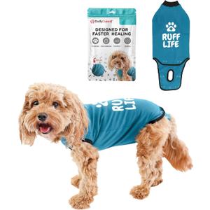 BellyGuard Recovery Suit for Dogs, Comfy Dog Surgery Suit, Female Spay and Male Neuter Onesie for Post-Op Care (Mini, Blue)