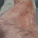 Goolela Pink Round Rug 5ft Circle Fluffy Fuzzy Fur Carpet for Girls Bedroom Living Room Faux Sheepskin Soft Plush Washable