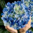 3PCS Blue Silk Hydrangea Artificial FlowersFake Flowers & Faux Floral Bulk Bouquet for Home Decor Bathroom Table Centerpiece Shelf Decorations (Blue)