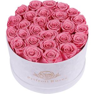 27 Flowers in a Luxury Suede Box, Birthday Gifts for Women, Preserved Flowers, Mothers Day Roses Gift for Mom, Light Pink