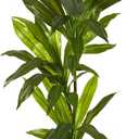 Nearly Natural 3ft. Dracaena Artificial Plant (Real Touch)