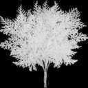 FOIMAS 24pcs Artificial Pine Needles Glitter Christmas Floral Picks Branches Fake Floral Twig Picks Sprays for Christmas Tree Wreaths Floral Arrangement Home Holiday Decor,White