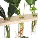 YIBOT Glass Plant Propagation Tubes Accessories Glass Test Tubes Tiered Planters Wall Terrarium for Home Office Plant Hanger Flower Vases Wall Decor Hydroponic Cuttings (5 Tube Vases) Clear