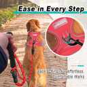 BARKBAY Dog Harness No Pull Mesh for Large Dogs - Adjustable, Reflective, Comfortable, No Choke, Heavy-Duty - Perfect for Outdoor Training, Walking, and Hiking - Strong & Durable - L & Red Mesh