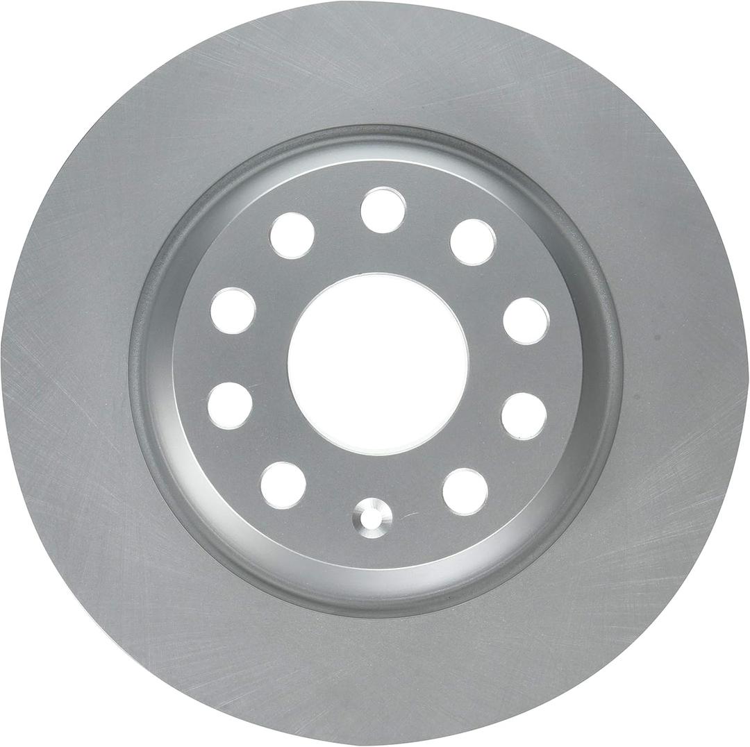 Raybestos 980791FZN Rust Prevention Technology Coated Rotor Brake Rotor, 1 Pack