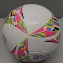 Wilson AVP Movement Volleyballs, Official