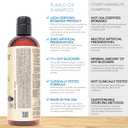 PURA D'OR 16 Oz Clinically Formulated Biotin Shampoo - Daily Hair Care Routine For Thinning Hair - 2X Concentrated 17+ Key Herbal Blend Hair Thickening Products For Women & Men