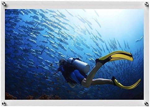 homingyo Floating Acrylic Picture Frame With Chrome Standoff Double Panel Wall Mount Photo Frame (clear, 8X10)