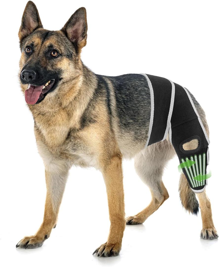 Dog Knee Brace for Luxating Patella, Dog Leg Brace Front, Dog ACL Brace Hind Leg with 6 Metal Strips to Protect Knee Joint, Provide Stable Support and Relief Pain, Help Resume Normal Activities XL