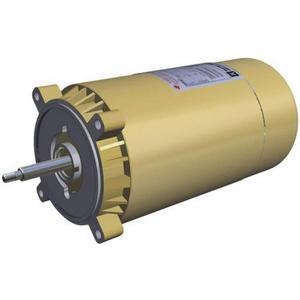 Hayward SP1610Z1MBK Motor Replacement for Select Hayward Pump, 1.0 HP Maxrate Motor