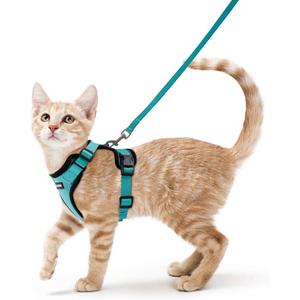 rabbitgoo Cat Harness and Leash for Walking, Escape Proof Soft Adjustable Vest Harnesses for Cats, Easy Control Breathable Reflective Strips Jacket, Emerald, XS