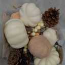 17 PCS Kit Artificial Pumpkins Decorations - Plastic Pumpkins for Fall Home Farmhouse Thanksgiving Mini Pumpkin Decor (Style-2 17pcs)