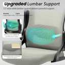 Fizzin Office Chair Mesh Computer Chairs with Adjustable Lumbar Support, 11 x 24 x 20 inches