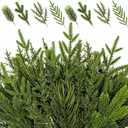 40PCS Artificial Pine Branches Assorted Real Touch Christmas Greenery Stems Faux Norfolk Pine Picks Evergreen Cedar Leave Tree Sprigs for Vase Filler Crafts Wreath Garland Home Holiday Decor (Green)