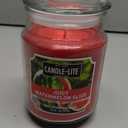 Candle-Lite Everyday Scented Juicy Watermelon Slice Single-Wick Jar Candle, 18 oz, Red