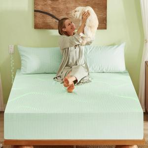 Grounding Sheets, 90% Viscose Derived from Bamboo 10% Silver Infused Cooling Sheets, Silky Breathable Than Cotton for Hot Sleeper, 15 Deep Pocket Grounded Fitted Sheets Only, Green Queen-60"x80"x15"