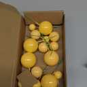 ASTARON Pack of 20 Cake Decoration Balls Cake Toppers, Mini Balloons Cake Toppers for Wedding Party Baby Shower Birthday Cake Decorating (Yellow)