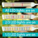 210 LED Grow Lights for Indoor Plants Full Spectrum, LED Plant Light with Stand, Adjustable Height, Plant Grow Lights with Auto 4/8/12/H Timer for Indoor Tall Plants.