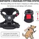PoyPet Dog Harness No Pull, Reflective Adjustable No Choke Pet Vest with Front & Back Clips, Soft Padded and Control Training Handle for Large Dogs(Black,XL)