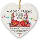 Friend Christmas Ornaments - 2026 Ceramic Ornament for Xmas Tree Decorations, Naughty Christmas Ornaments for Friends, Bestie Gifts for Women, BFF, Soul Sister, Work Bestie