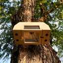 Carpenter Bee Trap for Outside, Leaning Tower Nature Hanging Wood Boring Bee Trap for Outdoor Insect Trap